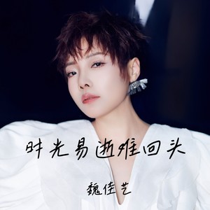 魏佳艺 - 时光易逝难回头