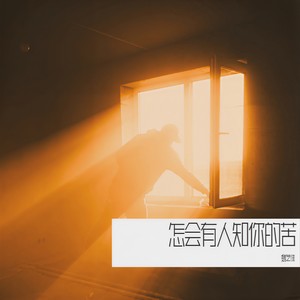 魏艺佳 - 怎会有人知你的苦