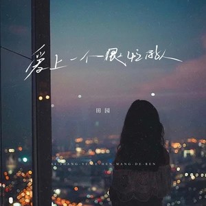 田园 - 爱上一个很忙的人