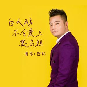 倪红 - 白天鹅不会爱上黑乌鸦