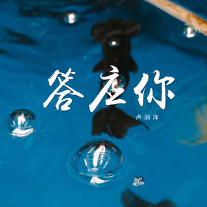 卢润泽 - 答应你