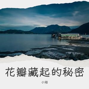 小刚 - 风铃摇响的过往