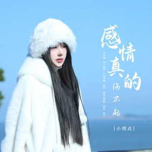 小雨点 - 感情真的伤不起