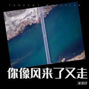 洋洋仔 - 你像风来了又走（刀郎版）