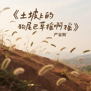 严家辉 - 土坡上的狗尾巴草摇啊摇