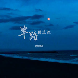 胖球鱼 - 半路错过你
