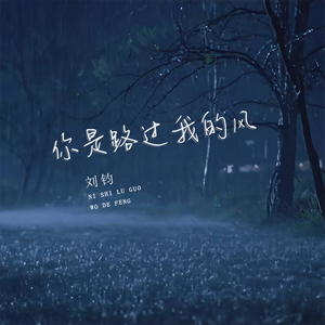 刘钧 - 你是路过我的风