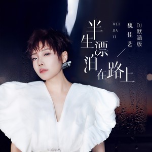 魏佳艺 - 半生漂泊在路上