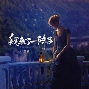 王娜《我来了一阵子（DJBanan版）》[MP3_LRC]