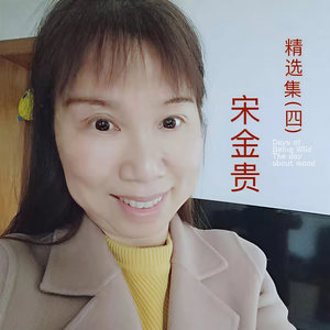宋金贵 - 爱的画卷