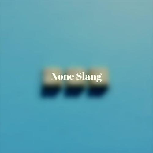 None Slang