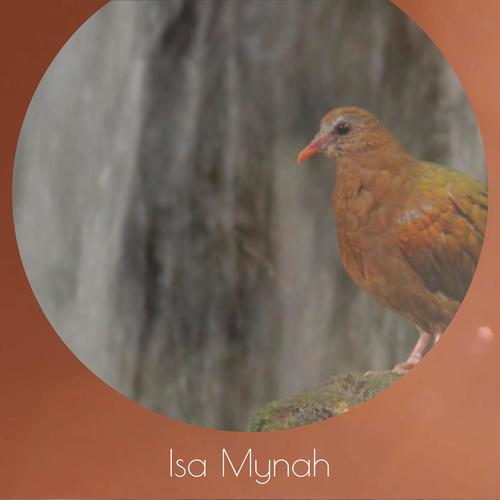 Isa Mynah