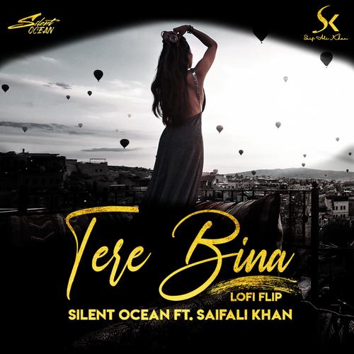 Tere Bina Lofi Flip (feat. Saif Ali Khan)