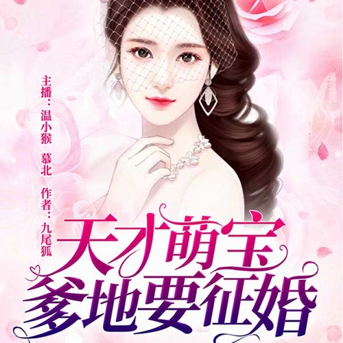 天才萌宝，爹地要征婚