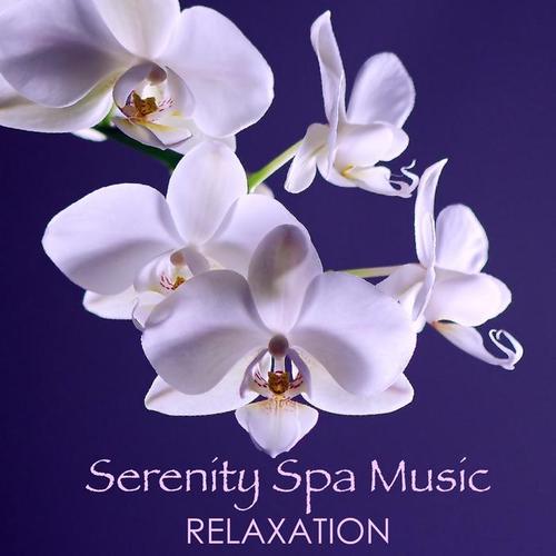 Serenity Spa Music Relaxation - Ultimate 50 Wellness and Beauty Songs for Spa Massage and Healing Therapy