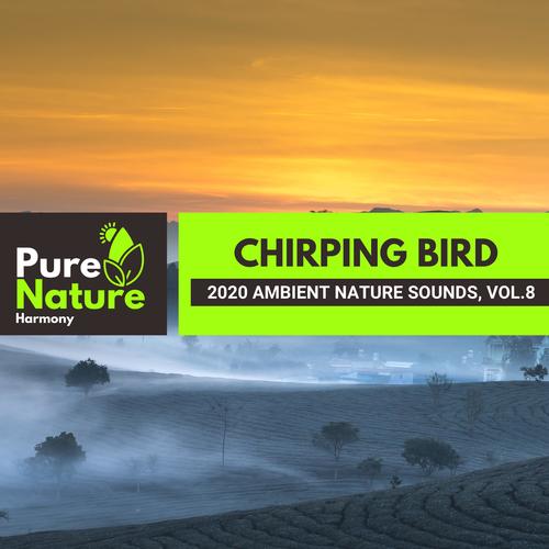 Chirping Bird - 2020 Ambient Nature Sounds, Vol.8