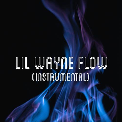 Lil Wayne Flow (Instrumental)