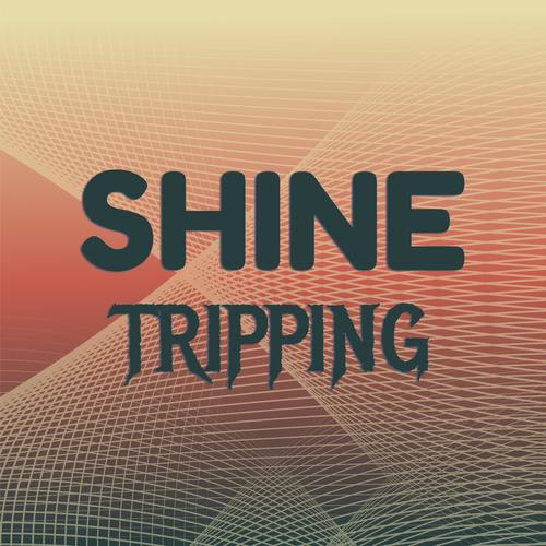 Shine Tripping