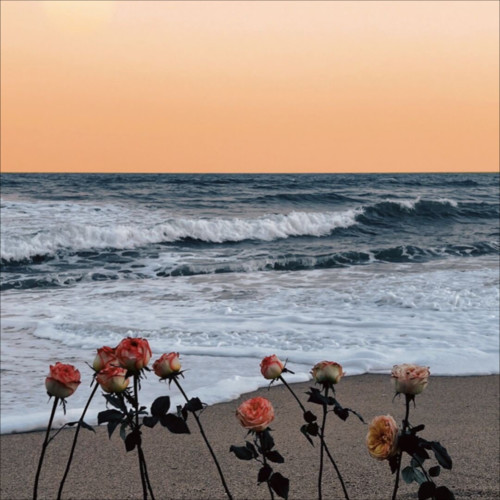 花开忘忧