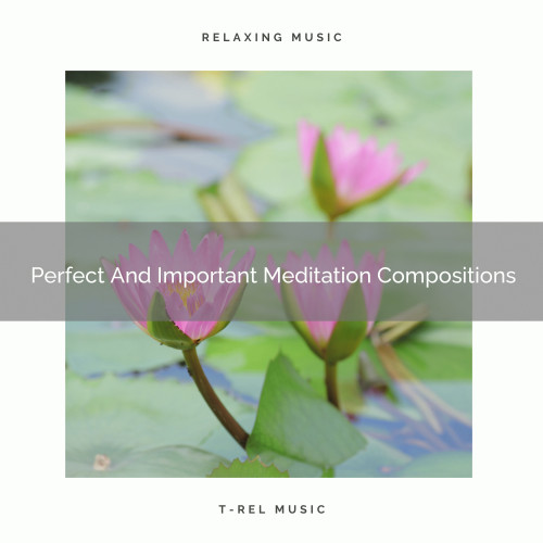 Perfect And Important Meditation Compositions