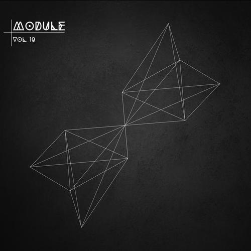 Module, Vol. 10