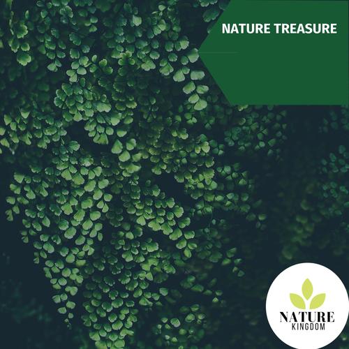 Nature Treasure