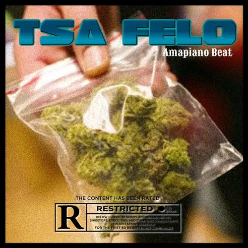 Amapiano Beat TSA FELO (feat. Felo Le Tee, DBN, GOGO, Mellow & Sleazy)