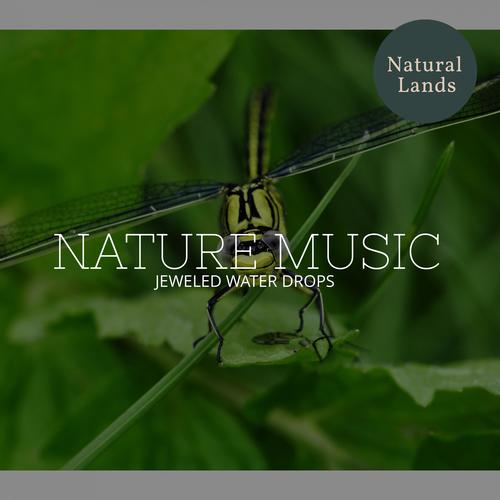 Nature Music - Jeweled Water Drops