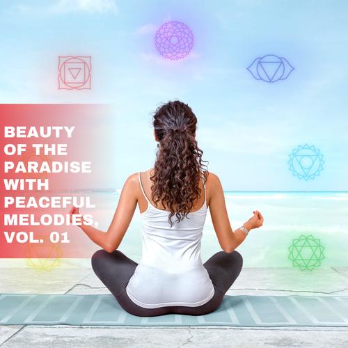 Beauty of the Paradise with Peaceful Melodies, Vol. 01