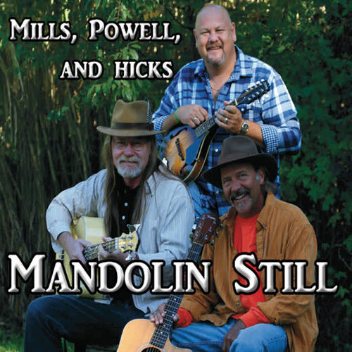 Mandolin Still