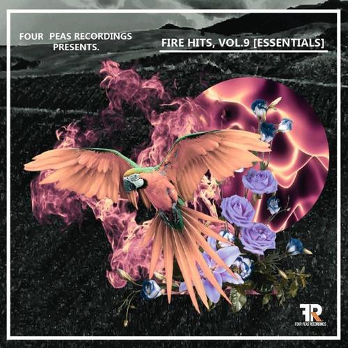 Fire Hits, Vol. 9 (Essentials)