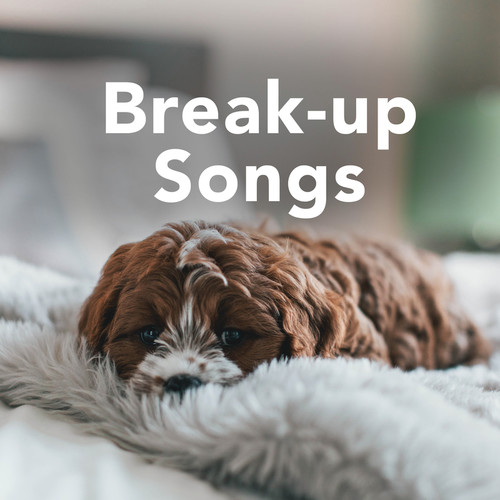 Break Up Songs (Explicit)