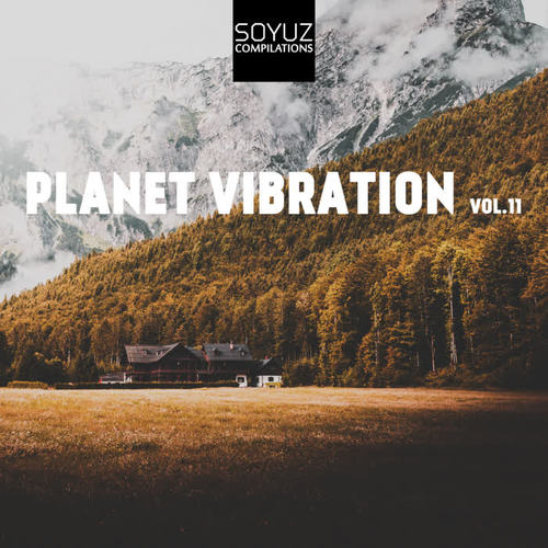 Planet Vibration, Vol. 11