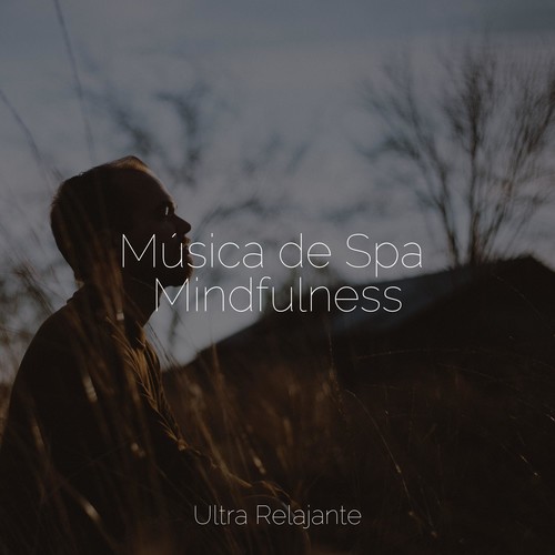 Música de Spa Mindfulness