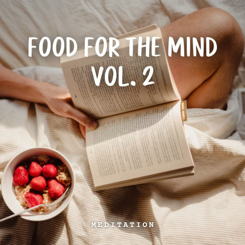 Meditation: Food for the Mind Vol. 2