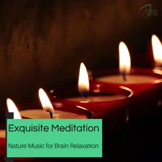 Exquisite Meditation - Nature Music For Brain Relaxation