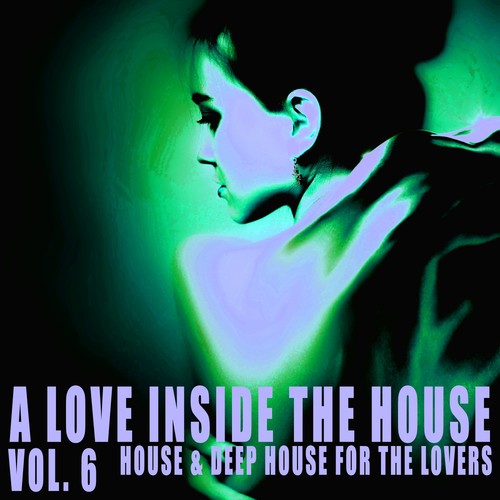 A Love Inside the House, Vol. 6