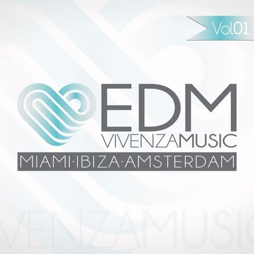 Vivenza Music EDM Vol. 01