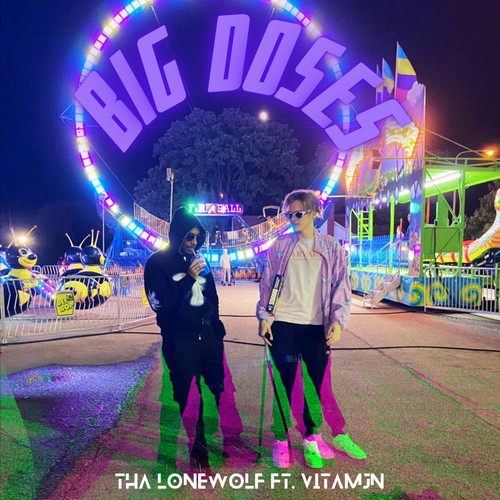 BIG DOSES (feat. Vitamjn) [Explicit]