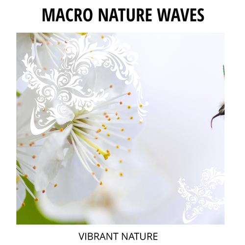 Macro Nature Waves - Vibrant Nature