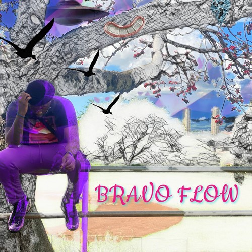 BRAVO FLOW (Explicit)