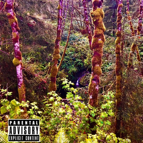 MultiDiemensional (Explicit)