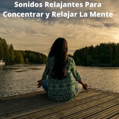 Sonidos Relajantes Para Concentrar Y Relajar La Mente
