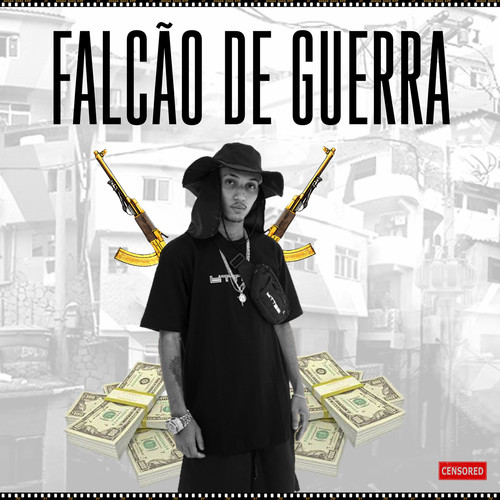 FALCÃO DE GUERRA