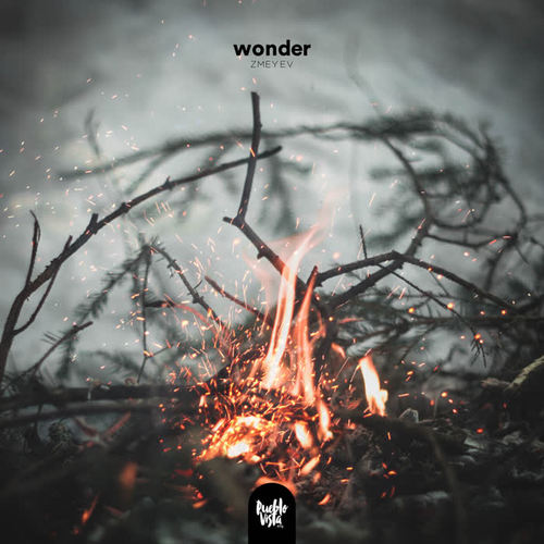 wonder