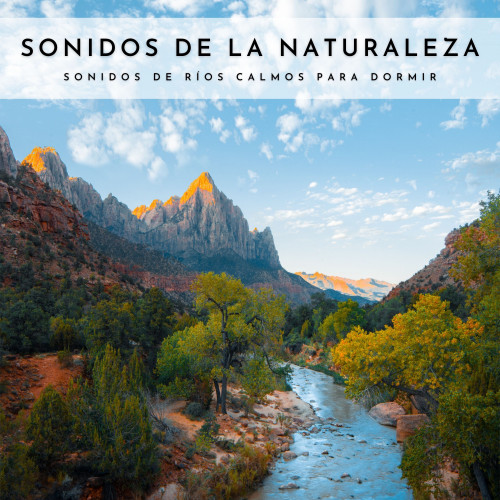 Sonidos De La Naturaleza: Sonidos De Ríos Calmos Para Dormir