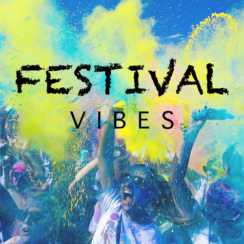 Festival Vibes (Explicit)