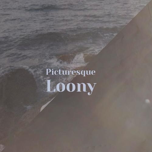 Picturesque Loony