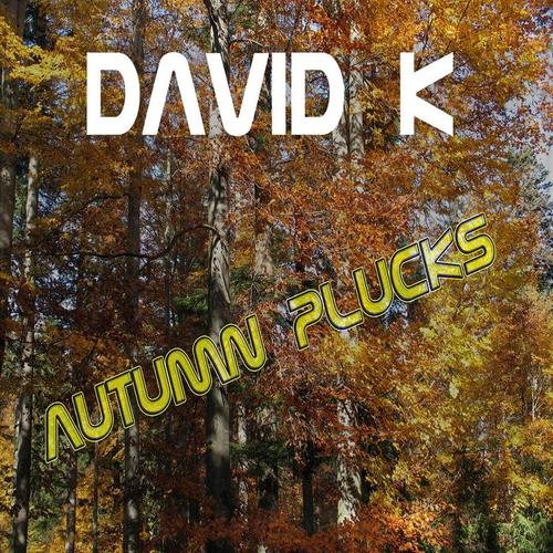 David K - Autumn Plucks