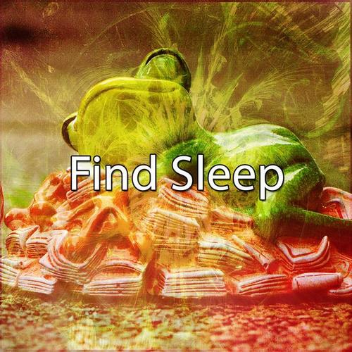 Find Sleep